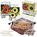Set de cultivo de girasoles - juego de plantación de mini-invernadero, semillas y tierra - idea de regalo (Eclipse + Amarillo lima) nuevo 2024
