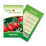 Foto Stabtomaten Harzfeuer F1 Samen - Solanum lycopersicum - Tomatensamen - Gemüsesamen - Saatgut für 15 Pflanzen, bester Preis 1,99 € (0,13 € / stück), Bestseller 2024