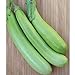 Lousiana Long Green Eggplant Seeds (30+ Seed Package) new 2024