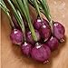 David's Garden Seeds Onion Long-Day Purplette 8374 (Purple) 200 Non-GMO, Open Pollinated Seeds new 2024