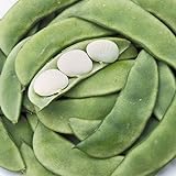 Photo Henderson Baby Lima Beans, 30 Heirloom Seeds Per Packet, Non GMO Seeds, Botanical Name: Phaseolus lunatus, Isla's Garden Seeds, best price $5.99 ($0.20 / Count), bestseller 2024