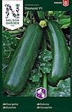 Foto Zucchini Samen für Gemüsegarten - Nelson Garden Saatgut - Zucchini Diamant F1 (15 Stück) (Zucchini, Diamant F1, Einzelpackung), bester Preis 4,95 €, Bestseller 2024