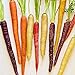 Gemüsesamensorten - 800Pcs nahrhafte gemischte Regenbogen Karottensamen Einfach wachsen Gemüse Garten Pflanze Kinder Anfänger Gärtner Geschenk -1 # neu 2024