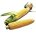 Burpee Illini Xtra Sweet Hybrid (Sh2) Sweet Corn Seeds 800 seeds new 2024