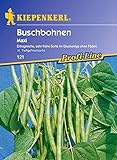Foto Buschbohne 'Maxi', bester Preis 3,95 €, Bestseller 2024