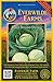 Everwilde Farms - 500 Early Round Dutch Cabbage Seeds - Gold Vault Jumbo Seed Packet new 2024