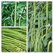 Long Bean Seeds 30g Snake Yard-Long Asparagus Bean Red Noodle Pole Bean Garden Vegetable Green Fresh Chinese Seeds for Planting Outside Door Cooking Dish Taste Sweet Delicious new 2024