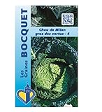 Photo Sachet de graines de Chou de Milan gros des vertus-4 - 3 g - légume feuille - LES GRAINES BOCQUET, meilleur prix 3,99 € (1 330,00 € / kg), best-seller 2024