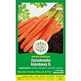 Foto Semillas ecológicas de Zanahoria Nantesa 5 Vergea, mejor precio 1,85 €, éxito de ventas 2024