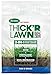 Scotts Turf Builder Thick'R Lawn Sun and Shade, 12 lb. - 3-in-1 Solution for Thin Lawns - Combination Seed, Fertilizer and Soil Improver for a Thicker, Greener Lawn - Covers 1,200 sq. ft. new 2024