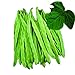 Park Seed Algarve French Climbing Bean Seeds, Pack of 100 Seeds new 2024
