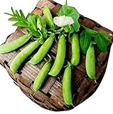 Photo 50 Sugar Ann Snap Pea Heirloom Seeds - Non GMO - Neonicotinoid-Free, best price $8.99 ($0.18 / Count), bestseller 2024