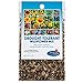 Drought Resistant Tolerant Wildflower Seeds Open-Pollinated Bulk Flower Seed Mix for Beautiful Perennial, Annual Garden Flowers - No Fillers - 1 oz Packet new 2024