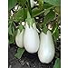 White Star Eggplant Seeds(Hybrid) Seeds (40 Seed Pack) new 2024