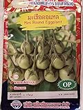Photo Golden Mountain Thai Mini Round Eggplant Seeds, best price $6.99, bestseller 2024