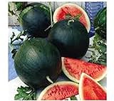 Photo Watermelon, Black Diamond, Heirloom, 25 Seeds, Super Sweet Round Melon, best price $1.99 ($0.08 / Count), bestseller 2024