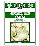 Photo Crystal Wax Onion Seeds - 350 Seeds Non-GMO, best price $1.59, bestseller 2024