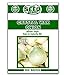 Crystal Wax Onion Seeds - 350 Seeds Non-GMO new 2024