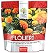 African Marigold Seeds Crackerjack Mix - Bulk 1 Ounce Packet - Over 10,000 Seeds - Huge Orange and Yellow Blooms new 2024