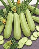 Photo Seeds Squash Zucchini Aspirant 38 Days White Bush Vegetable for Planting Heirloom Non GMO, best price $7.99, bestseller 2024