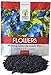 Morning Glory Seeds Heavenly Blue - Large 1 Ounce Packet - Over 1,000 Flower Seeds new 2024