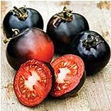 Photo Indigo Rose Tomato Seeds (20+ Seeds) | Non GMO | Vegetable Fruit Herb Flower Seeds for Planting | Home Garden Greenhouse Pack, best price $3.69 ($0.18 / Count), bestseller 2024