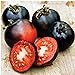 Indigo Rose Tomato Seeds (20+ Seeds) | Non GMO | Vegetable Fruit Herb Flower Seeds for Planting | Home Garden Greenhouse Pack new 2024