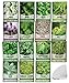 15 Herb Seeds For Planting Varieties Heirloom Non-GMO 5200+ Seeds Indoors, Hydroponics, Outdoors - Basil, Catnip, Chive, Cilantro, Oregano, Parsley, Peppermint, Rosemary and More By Gardeners Basics new 2024