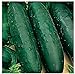 50 Marketmore 76 Cucumber Seeds | Non-GMO | Heirloom | Instant Latch Garden Seeds new 2024