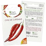 Foto Chilisamen Chili de Cayenne: 5 Premium Cayenne Chili Samen zum Anbau von Chili Pflanzen für Balkon, Kübel und Garten – Cayenne Samen für frische Chilipflanzen – Chili Samen scharf von OwnGrown, bester Preis 2,95 € (2,95 € / stück), Bestseller 2024