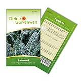 Foto Palmkohl Nero di Toscana Samen - Brassica oleracea var. Palmifolia - Palmkohlsamen - Gemüsesamen - Saatgut für 120 Pflanzen, bester Preis 1,99 € (0,02 € / stück), Bestseller 2024