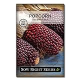 Photo Sow Right Seeds - Strawberry Popcorn Seed for Planting - Non-GMO Heirloom Packet with Instructions to Plant a Home Vegetable Garden, best price $4.99, bestseller 2024