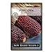 Sow Right Seeds - Strawberry Popcorn Seed for Planting - Non-GMO Heirloom Packet with Instructions to Plant a Home Vegetable Garden new 2024
