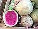 100 Samen Wassermelonen Rettich Mantanghong