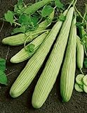 Photo David's Garden Seeds Cucumber Slicing Armenian Yard Long 9184 (Green) 25 Non-GMO, Heirloom Seeds, best price $4.45, bestseller 2024