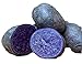Purple Majesty Seed Potato 6 Tubers - Heirloom - Great Taste! new 2024
