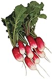 Photo Burpee French Breakfast Organic Radish Seeds 325 seeds, best price $7.99, bestseller 2024