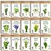 Seedra 15 Herb Seeds Variety Pack - 4500+ Non-GMO Heirloom Seeds for Planting Hydroponic Indoor or Outdoor Home Garden - Lavender, Parsley, Cilantro, Basil, Thyme, Mint, Rosemary, Dill & More new 2024