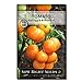 Sow Right Seeds - Kellogg's Breakfast Tomato Seed for Planting - Non-GMO Heirloom Packet with Instructions to Plant a Home Vegetable Garden new 2024