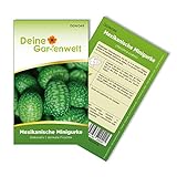 Foto Mexikanische Minigurke Samen - Melothria scabra - Minigurkensamen - Gemüsesamen - Saatgut für 10 Pflanzen, bester Preis 1,99 € (0,20 € / stück), Bestseller 2024
