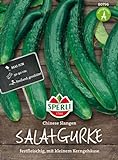 Foto Gurkensamen - Salatgurke Chinese Slangen von Sperli-Samen, bester Preis 2,17 €, Bestseller 2024