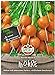 Sperli Premium Möhren Samen Pariser Markt 5 ; kugelförmige Karotte ; runde Karotten Samen neu 2024