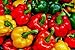 Bell Pepper, California Wonder Pepper Seeds, Heirloom, 25 Seeds, Delicious Large Peppers new 2024