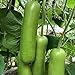 S-pone 20+ Long Bottle Gourd Seeds Edible Asian Indian Opo Squash Dudi Calabash Long Melon new 2024