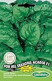 Foto Germisem For All Seasons Acadia F1 Semillas de Espinacas 8 g, EC7022, mejor precio 3,68 €, éxito de ventas 2024