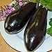 Eggplant,Black Beauty Eggplant Seed, Heirloom, , Non GMO, 25 Seeds, Vegetable new 2024