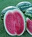 Melone - Wassermelone Crimson Sweet - 10 Samen neu 2024