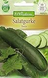 Foto Chrestensen Salatgurke 'Tanja', bester Preis 2,99 € (2,99 € / l), Bestseller 2024