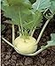 300 semillas de colo rava blanca – Verduras antiguas huertas – Método ecológico nuevo 2024