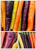 Photo Homegrown Carrot Seeds, 1000 Seeds, Rainbow Supreme Carrot Mixture No GMO, best price $5.49, bestseller 2024